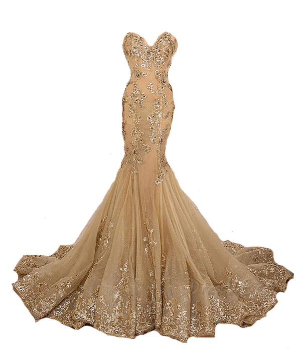 champagne gold mermaid dress